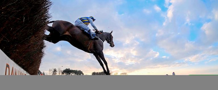 Hearts & Horses Raceday 