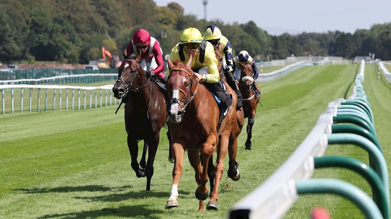 PROGRESSIVE SALLAAL BRINGS UP THREE-TIMER IN BETWAY ROSE OF LANCASTER STAKES AND CALENDAR GIRL DEFIE