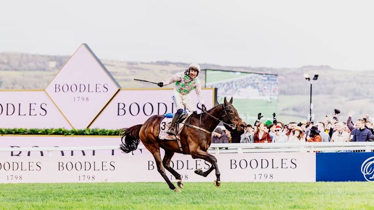 Cheltenham Festival 2027