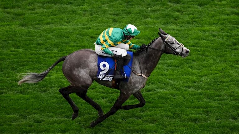 Tuesday's Races