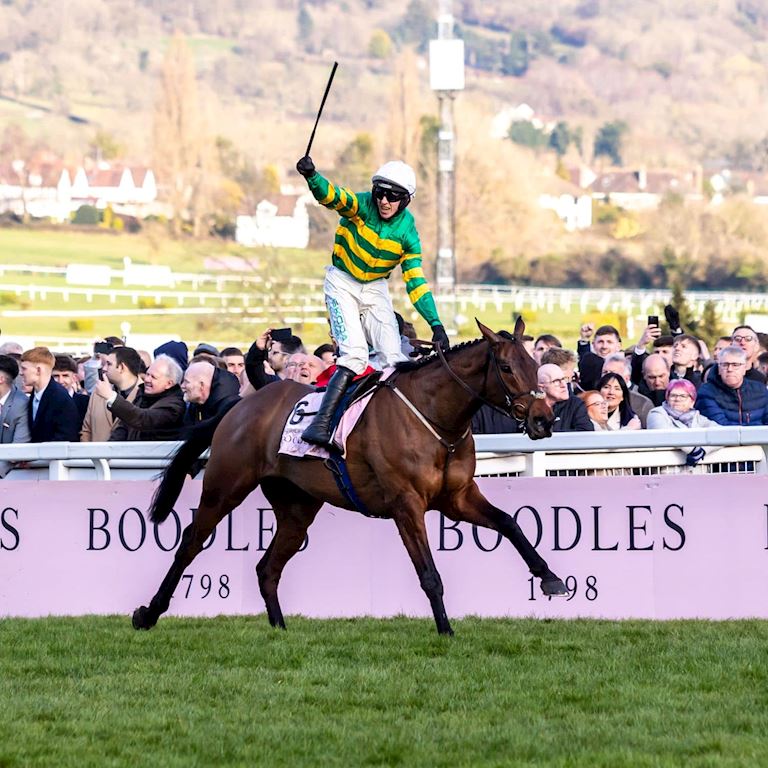 Cheltenham Festival Friday-116 (1).jpg