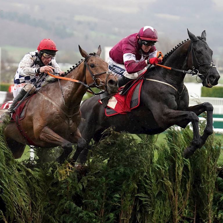 PA-71389380 (1) (1).jpg