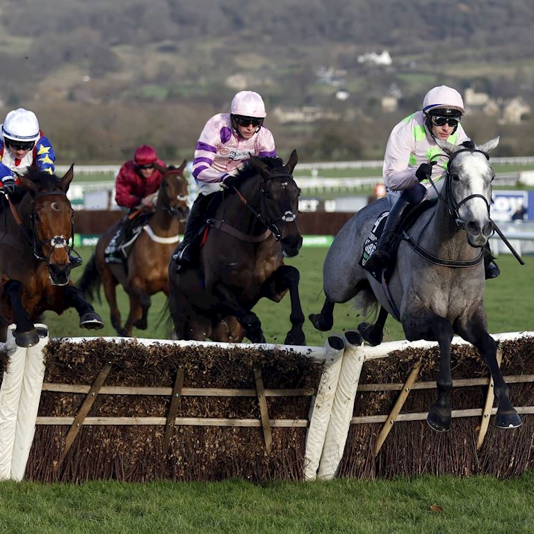 PA-75168211 (1) (1).jpg