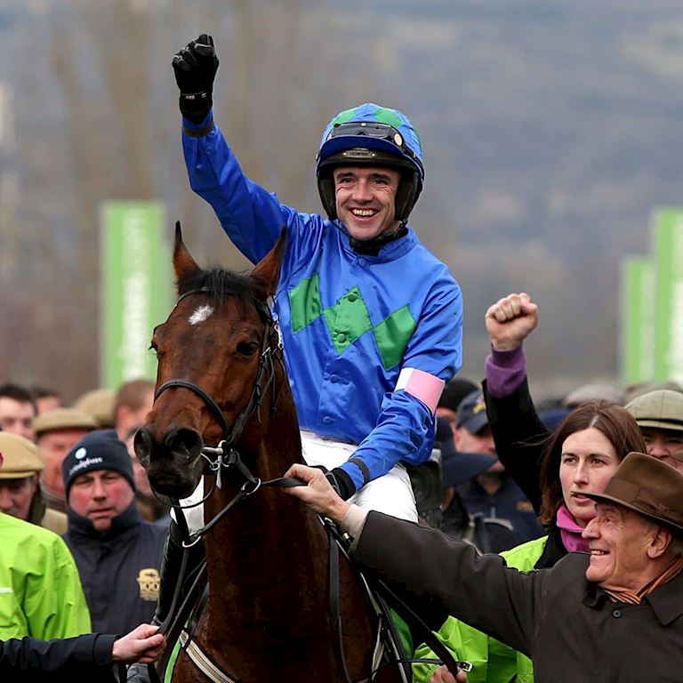 Hurricane_Fly (1).jpg