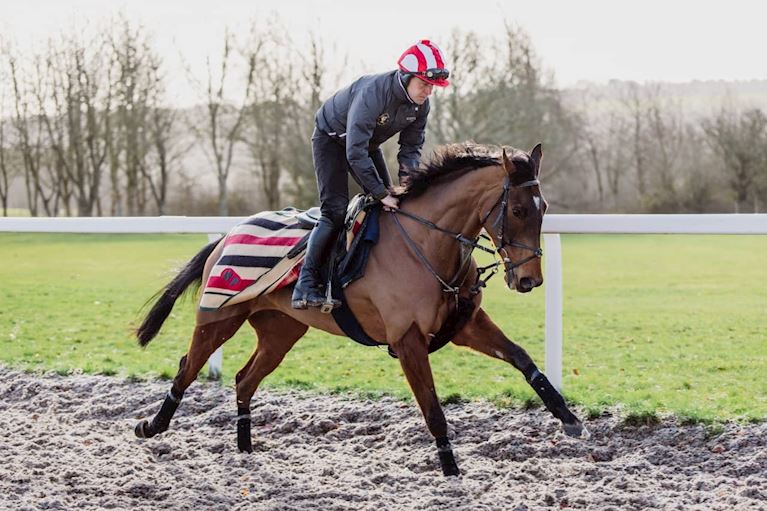 THE JUKEBOX MAN (2) (1).jpg