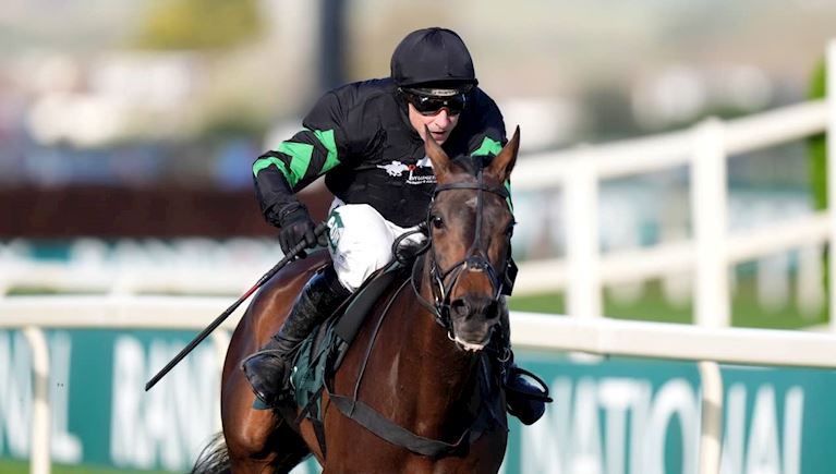 SUCCESS FOR TEAM SKELTON IN GOFFS NICKEL COIN MARES’ BUMPER AS NAN’S CHOICE COMES GOOD