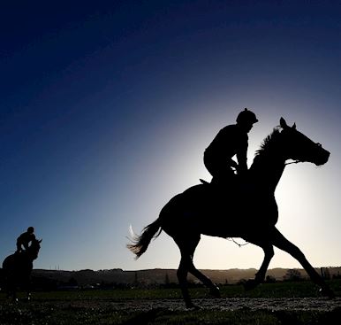 Important Ticket Information