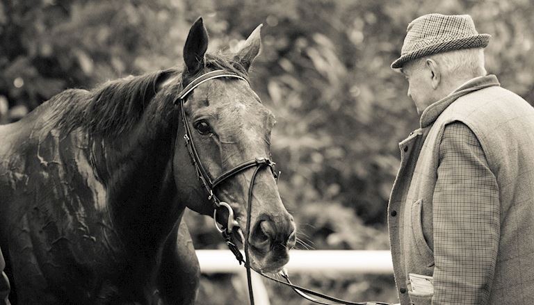 What to do in Cheltenham