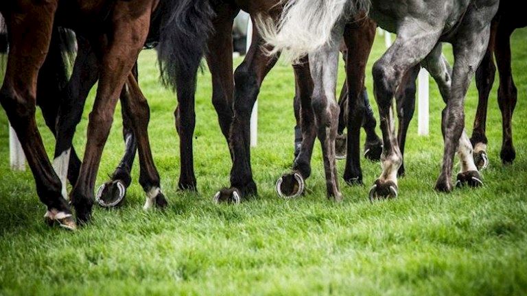 THE JOCKEY CLUB ANNOUNCES FULL-YEAR FINANCIAL RESULTS FOR JANUARY TO DECEMBER 2025