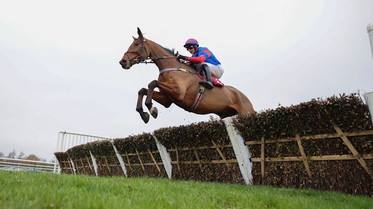SARA BRADSTOCK “DELIGHTED” TO SEE MR VANGO GUARANTEED A RUN IN WORLD’S GREATEST STEEPLECHASE