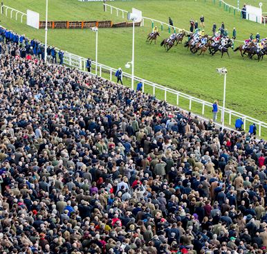 WIN A FESTIVAL TRIALS DAY PRIZES BUNDLE