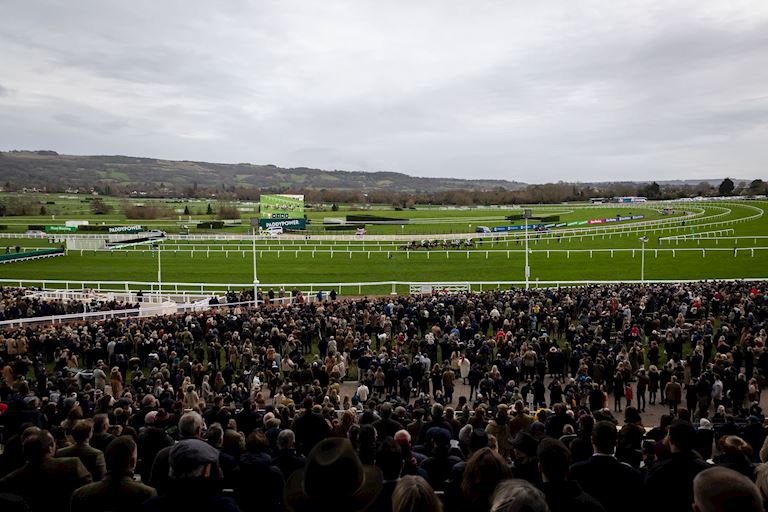 Cheltenham NYD-102-min.jpg