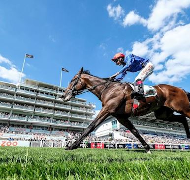 Epsom Downs Racecourse