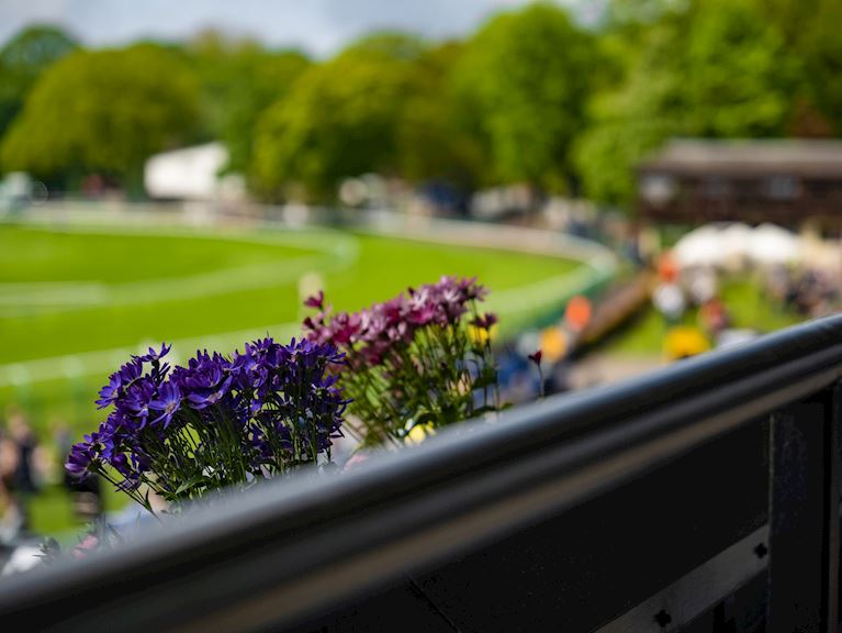 Spring Business Boost package at Haydock Park 