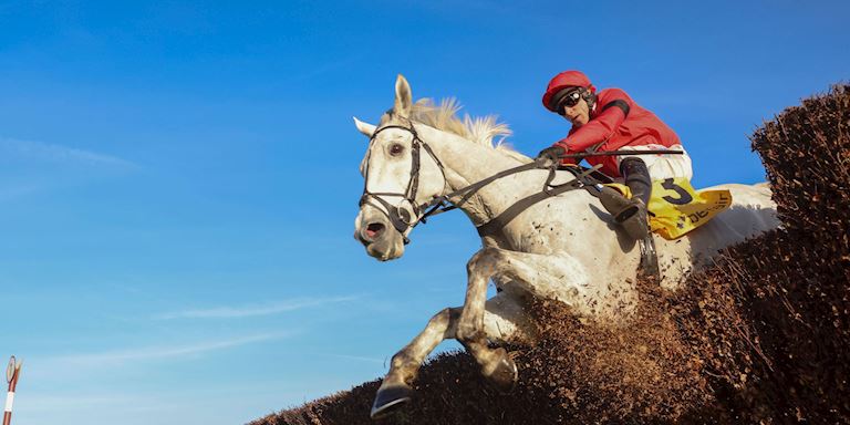 GREY DAWNING 11-8 FAVOURITE TO GO ONE BETTER AS 16 ENTRIES REVEALED FOR GRADE ONE BETFAIR CHASE