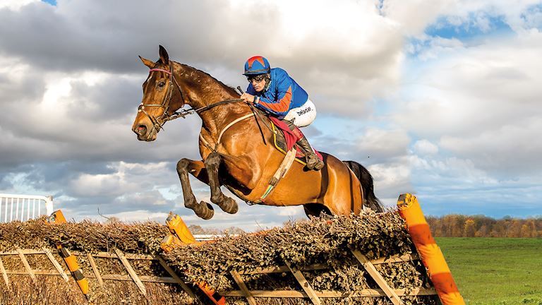 Betway Tommy Whittle Chase Day