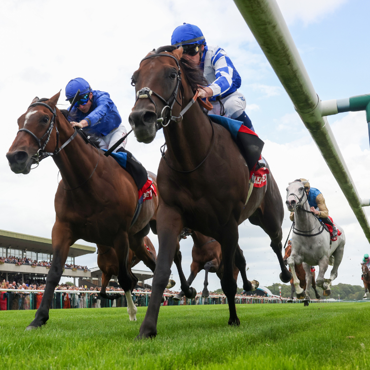 HAYDOCK PARK'S GLAMOROUS LADIES DAY HEADLINES SUMMER WEEKEND THIS AUGUST