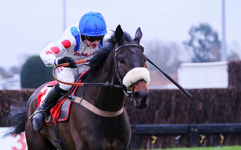 Desert Orchid Chase Day 
