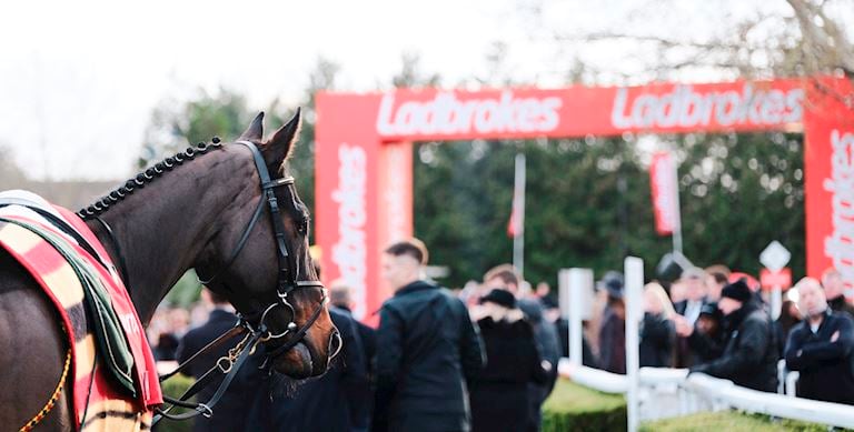 EMOTIONAL SUCCESS FOR EDITEUR DU GITE IN LADBROKES DESERT ORCHID HANDICAP CHASE ON FANTASTIC DAY FOR