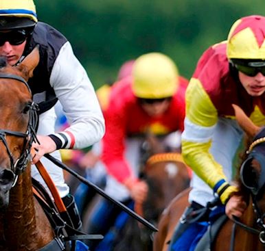 How to find us & Transport