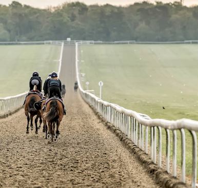 WIN THE ULTIMATE NEWMARKET EXPERIENCE