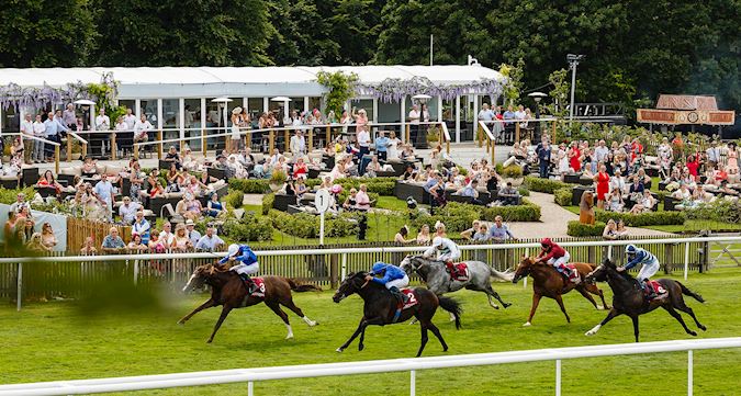 Newmarket Racecourses