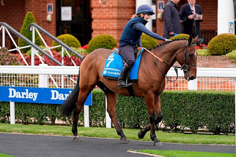 Parade_Generic_Imagery (2).jpg