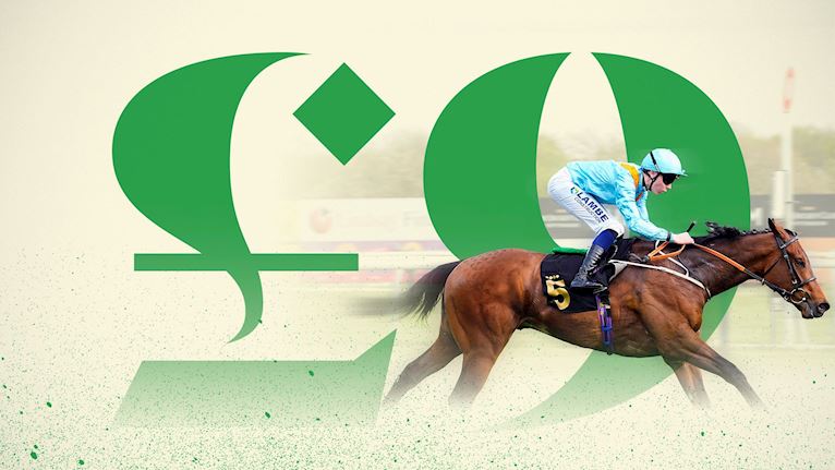 Saturday £9 Evening Racing