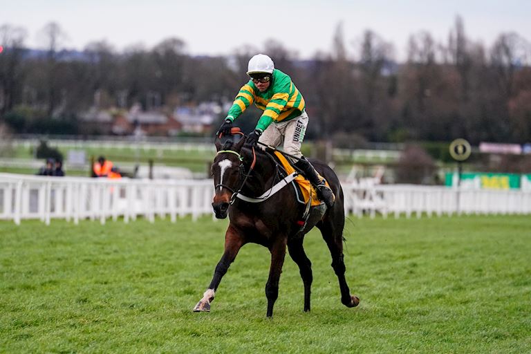 Betfair Tingle Creek Entries - Revealed!
