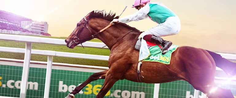 bet365 Flat Season Opener
