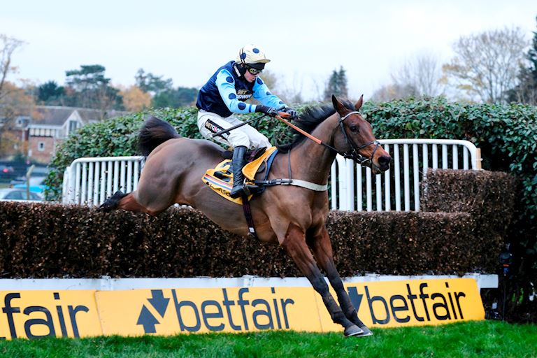 Edwardstone Tingle Creek Last Fence.jpg