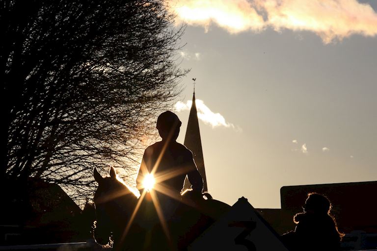 Sandown_Racecourse_Horse_Sunsetting.JPG