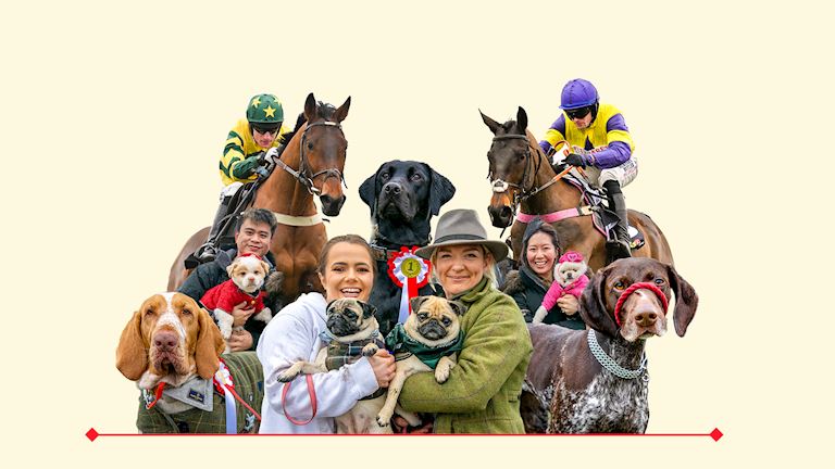 PricedUp Four-legged Friend Race Day