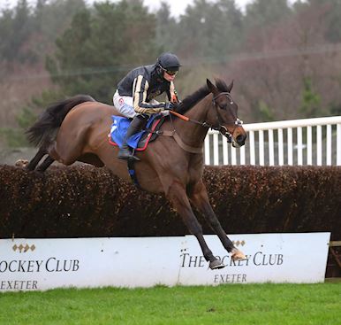 IN-FORM RIDER LORCAN WILLIAMS BIDS FOR BIG-RACE GLORY ABOARD BROKEN HALO IN SATURDAY’S WIGLEY GROUP