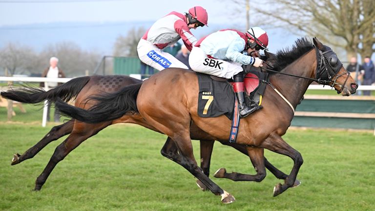 Cheese & Cider Raceday