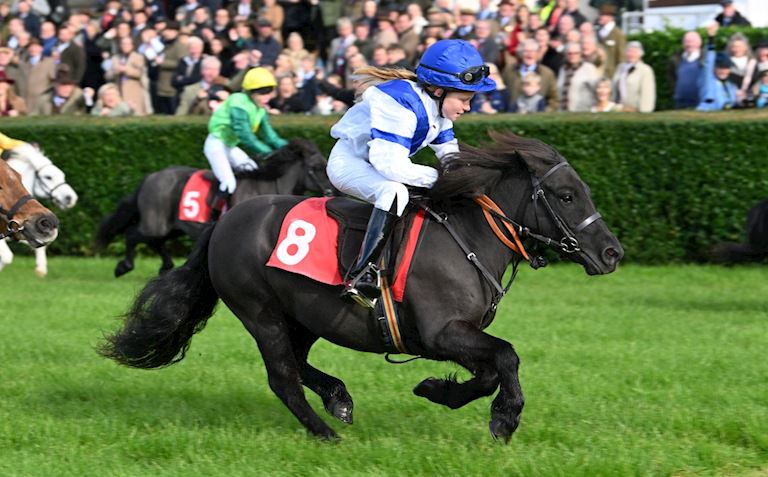 Little Aldaniti - block image.jpg