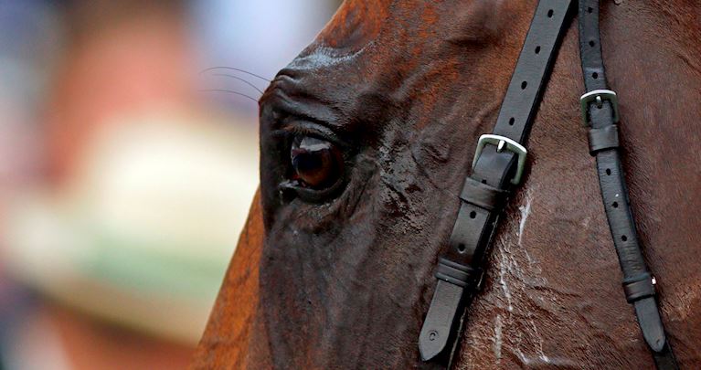 Why Investec Derby glory will have to wait